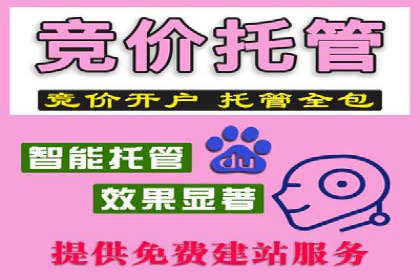 竞价SEM托管案例：提升广告投放效果